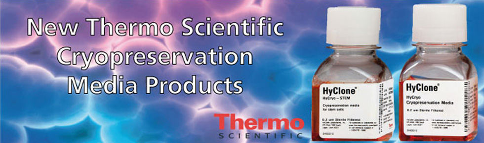 innovazione del recupero cellulare nella crioconservazione e<br />crescita dopo scongelamento