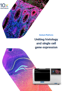 10X Xenium Single Cell Spatial Transcriptomics