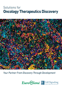 Oncology Therapeutics Discovery