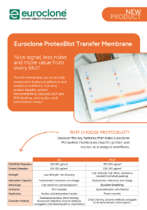 ProteoBlot Transfer Membrane