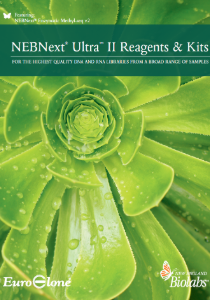 NEB NEBNext Ultra II