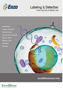 ENZO Life Sciences Labeling and Detection
