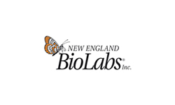  New England Biolabs