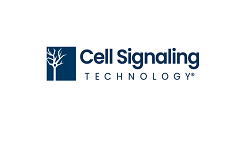 Cell Signaling Technology