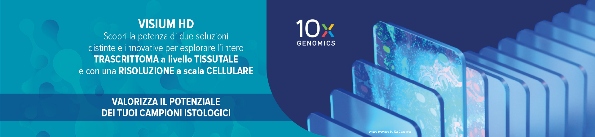 iconPCR di n6 Tec. Il primo termociclatore real-time al mondo con pozzetti controllati individualmente. Amplifica, Quantifica e Normalizza. Tutto in uno!